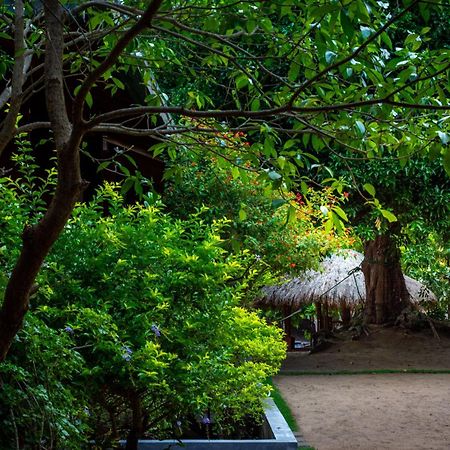 Arugambay Coco Bay Hotel Arugam Bay Exterior photo