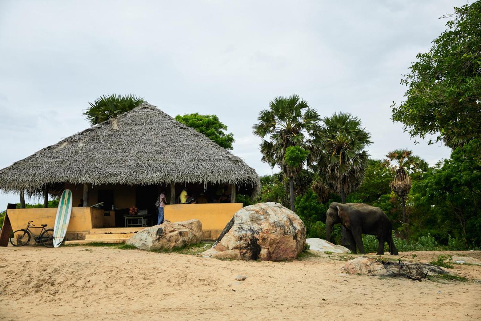 Arugambay Coco Bay Hotel Arugam Bay Exterior photo